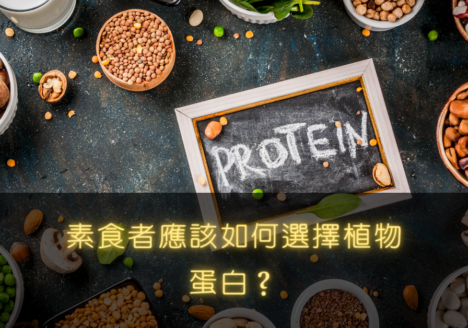 素食 純素 植物蛋白質